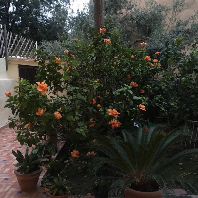 알게로 Carrer Dels Horts 아파트 외부 사진